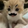 lucvuilucbuon_08