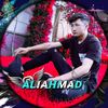 ahmadhassani29