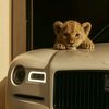mrtom54434