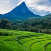 beautifulsrilankaa