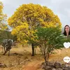 jaciara6193