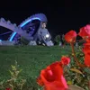 alialjaflah