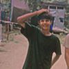 paukonestar