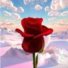 user470468847779