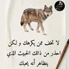 ooshin692