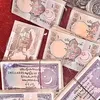 mranjha804