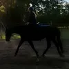 lullucysia_eqes