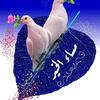 user6810145168792