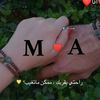 .ahmed5013