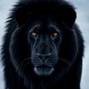 lions0883