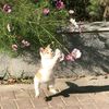 elifgriffin