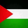 mahmoud.maged67
