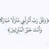 user9831297287703