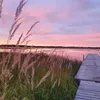 molly.linnea.wuopioo