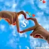 can33008888
