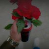 user5614486836140