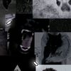 monkie_lego_fan