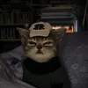 whatthefa00