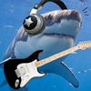 sharkedidit