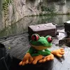 travelerfroggy