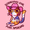 bellpacheco338