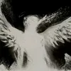 user98650039691428