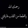 user6304057065165