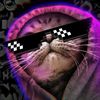 cb.kanc