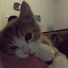 jiee_luvv2