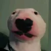 spachmi8