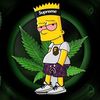 cancancancan777