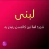 loubna.miri5