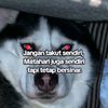 lalzxiterr