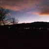 zoe_11549