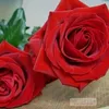 user9581617816812