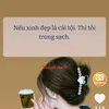 hoa.di292