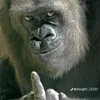 silly.boy788