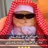 zain.ali.786225