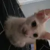 mustaphatabti7