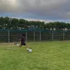 adam.bs10