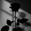 n_arges11
