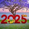 user9800793332118