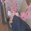malak.hussien.1