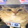 nonio_1
