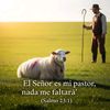 caminandoconjesus13