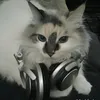 rpfox76