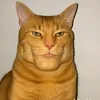calzosky_00