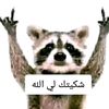 user40781143340398