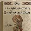 user3714572091267