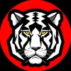 tigre.mascarado.100